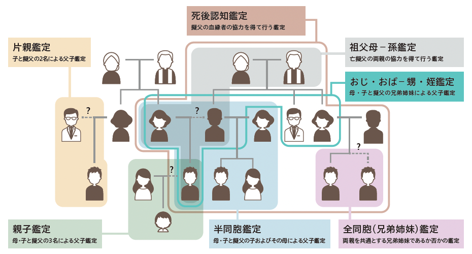 図3　DNA親子鑑定の種類