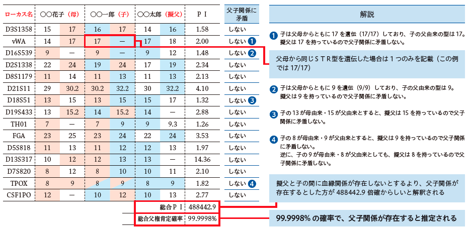 肯定例 解説